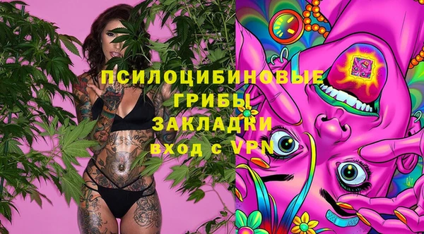 стаф Куйбышев