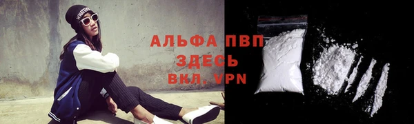 стаф Куйбышев